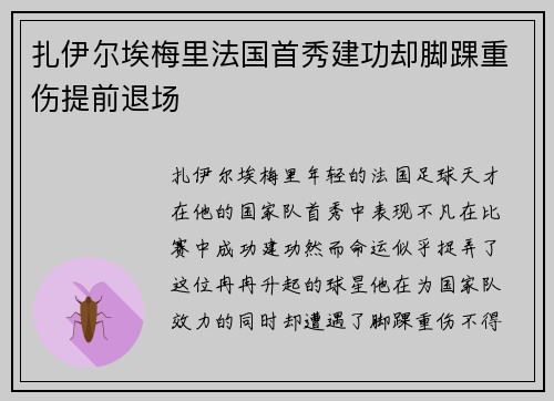 扎伊尔埃梅里法国首秀建功却脚踝重伤提前退场